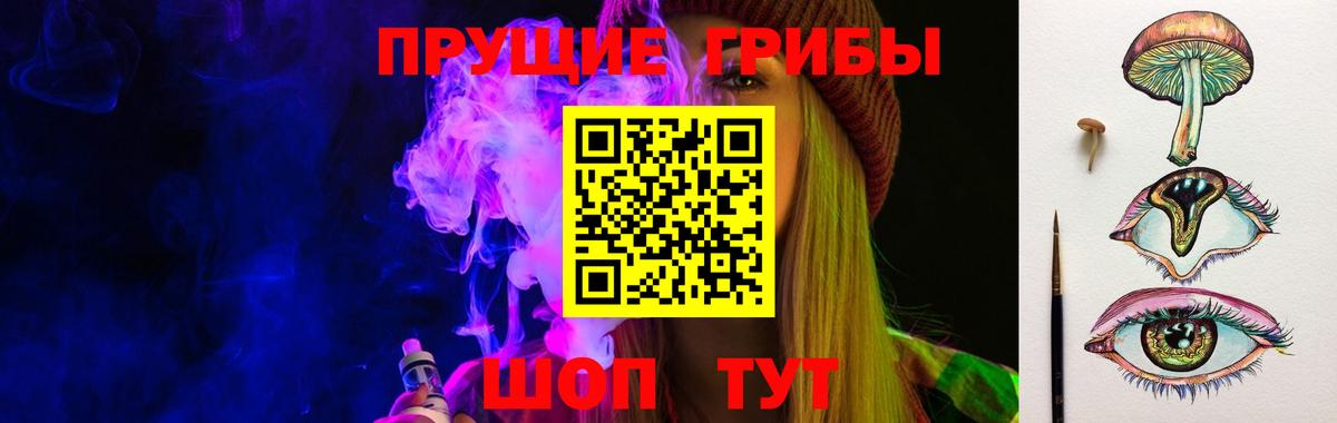 Скопин  Галлюциногенные грибы мицелий  Вход с VPN  Псилоцибиновые грибы GOLDEN TEACHER 